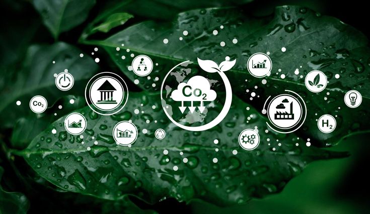 Zimbabwe’s Carbon Credit Market: An Emerging Opportunity for Landowners and Conservation Enterprises